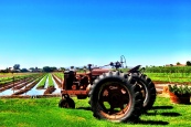 Get On The Tractor -Photo taken by Alexandra Gaspar